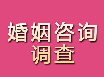 日喀则婚姻咨询调查